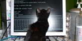 고양이 집사의 컴퓨터 조립 법
