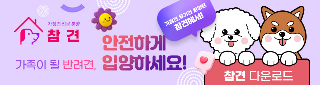(자사)참견 설치