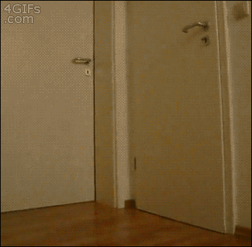 111.gif