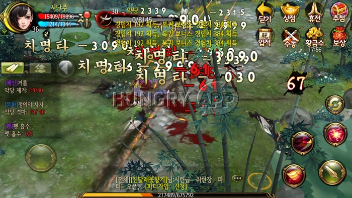 41.jpg