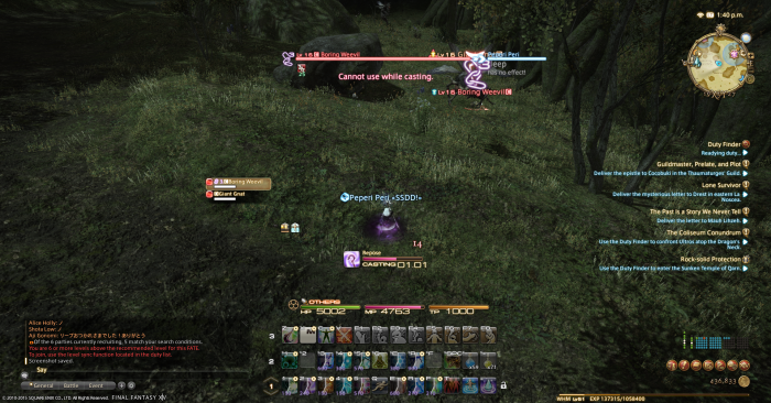 ffxiv_06252015_134024.png