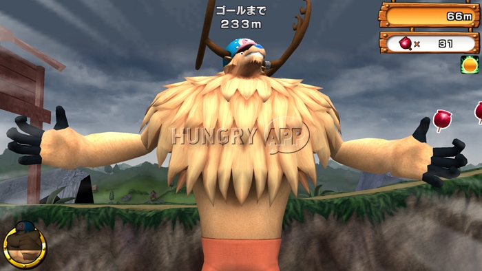 31.jpg