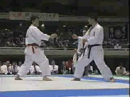 W145872036164964183.gif