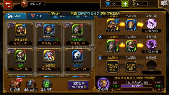 41.jpg