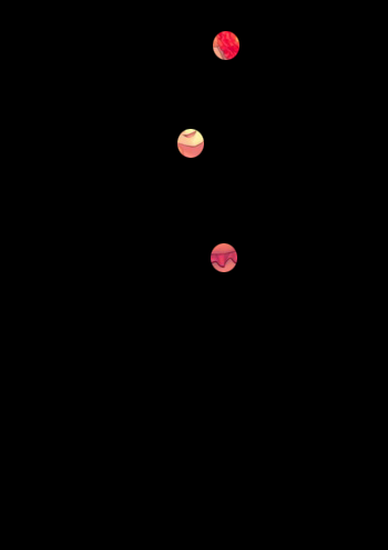 수뷩뉘겨.png