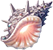 Icon_Item_Shell_of_Reminiscence.png