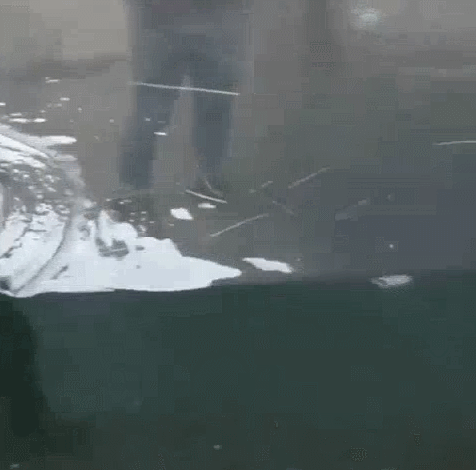 누가누굴 구경하는 건지....gif