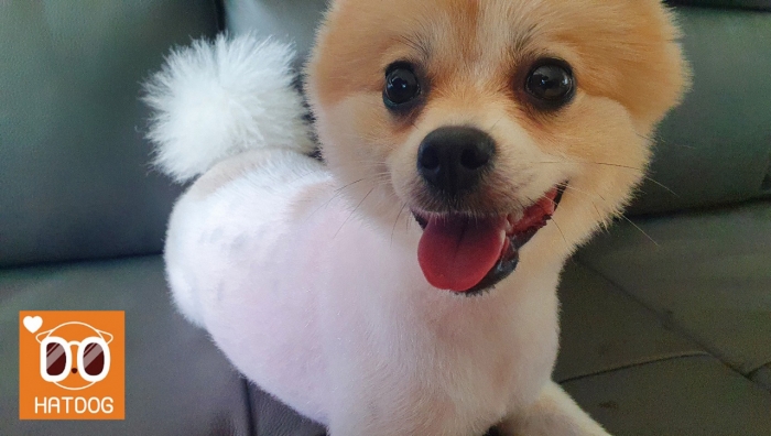 카페여기요 이미지