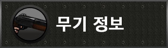 무기 정보