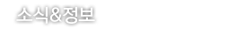 소식 & 정보