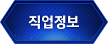 직업정보