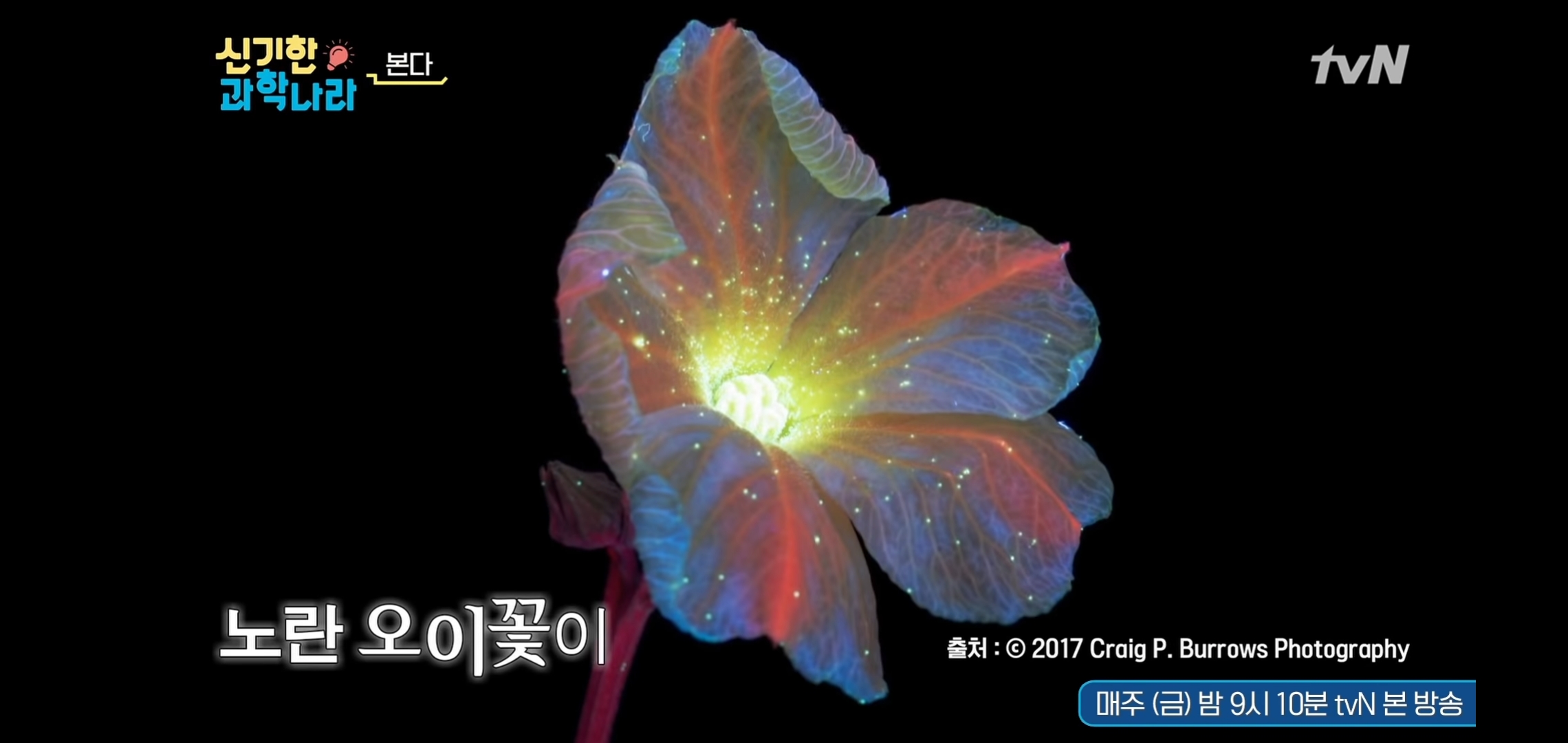 닉네임