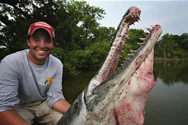 Alligator gar1.jpg