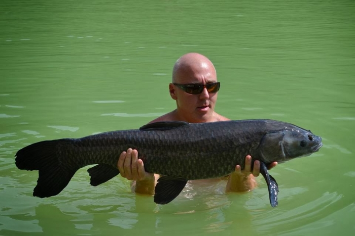 black carp1.jpg