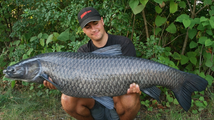 black carp3.jpg