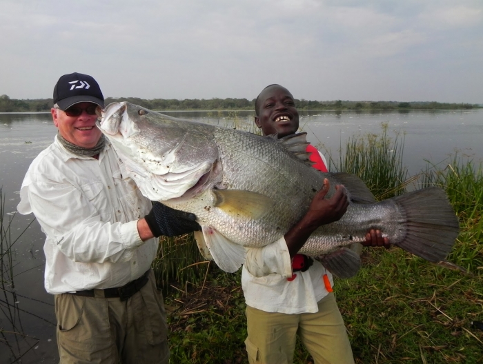 Nile Perch3.JPG