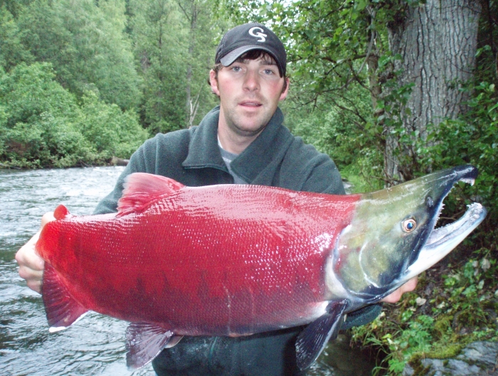 red salmon3.jpg