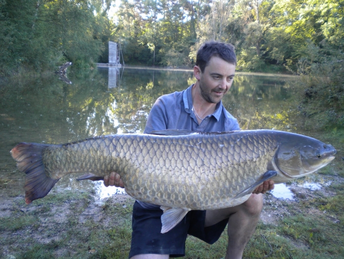 Grass Carp.JPG