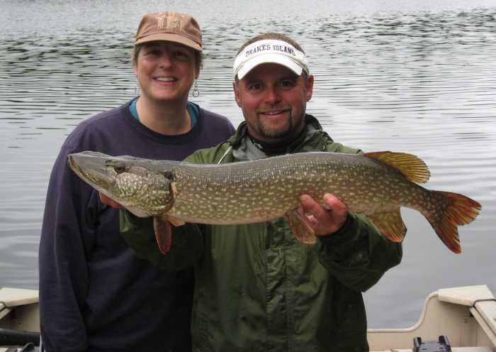 chain pickerel.jpg