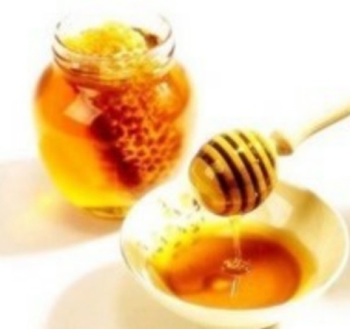 12.jpg/hungryapp/resize/500/