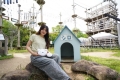 Celebrate the 10th anniversary of Nizigen Nomori with the sale of premium tickets including the \'White Dog Mini Bag.\'
