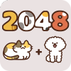 아이콘 이미지 2048 고양이산책