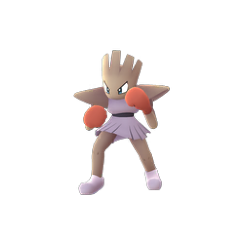 107.홍수몬(Hitmonchan)