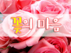 꽃의마음 프로필 사진